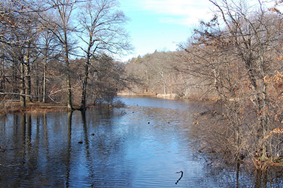 laguna Scarboro Pond en el parque Franklin Park de Boston