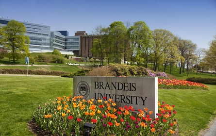 Foto de la universidad de Brandeis de Boston