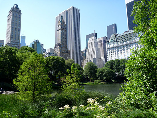 Foto de Central Park de Nueva York