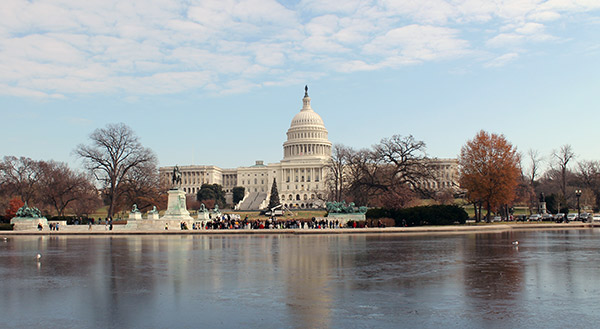 El Capitolio de los Estados Unidos (The Capitol)