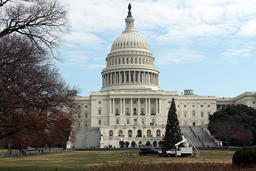 El Capitolio de los Estados Unidos (The Capitol)